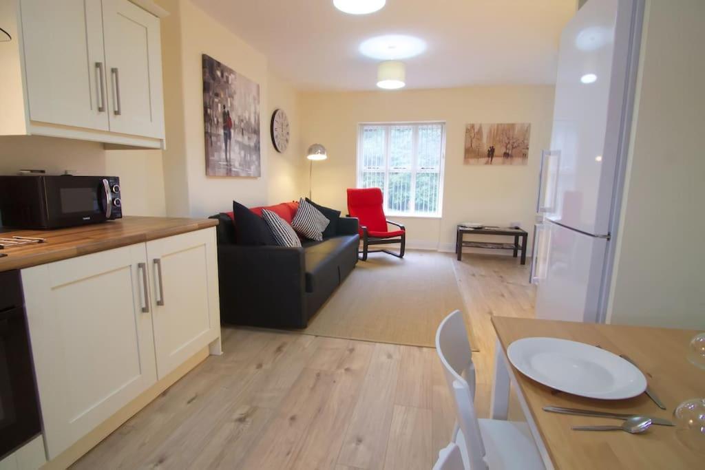 Newly Refurbished Village Flat Appartement Cullybackey